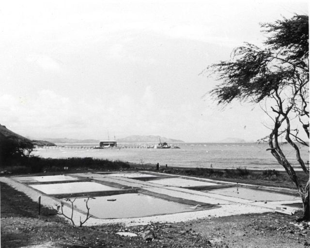 Rearing ponds at the Oceanic Institute, an applied aquaculture research facility. Picture