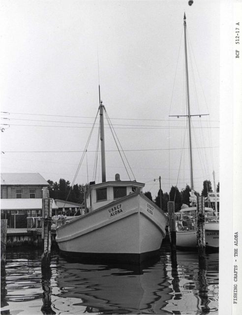 The BCF fishing vessel ALOSA Picture