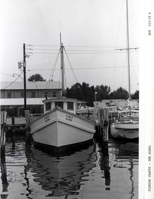 The BCF fishing vessel ALOSA Picture