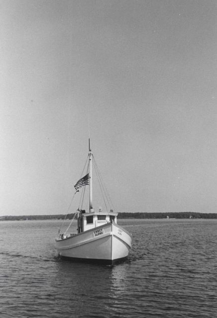 The BCF fishing vessel ALOSA Picture