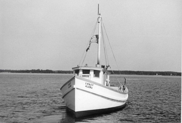 The BCF fishing vessel ALOSA Picture