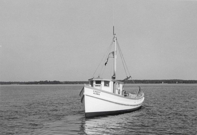 The BCF fishing vessel ALOSA Picture