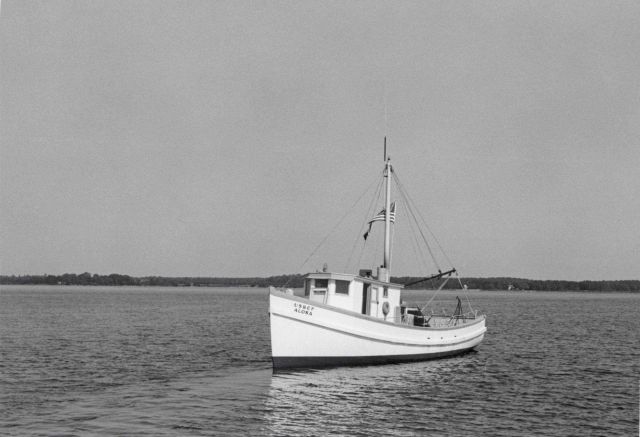 The BCF fishing vessel ALOSA Picture