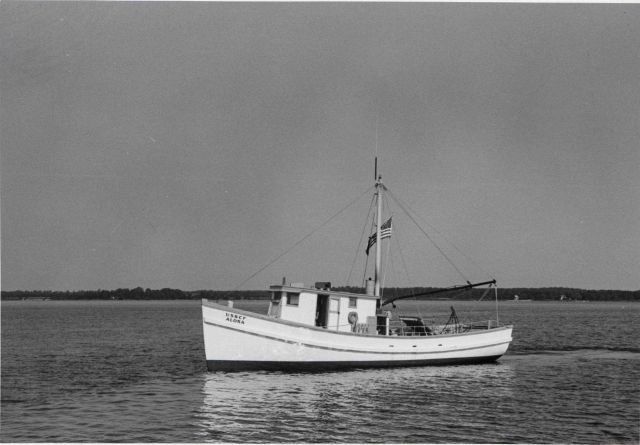 The BCF fishing vessel ALOSA Picture