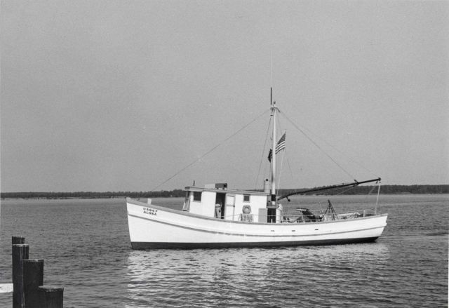 The BCF fishing vessel ALOSA Picture