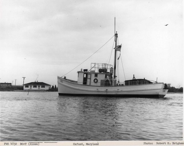 The BCF fishing vessel ALOSA Picture