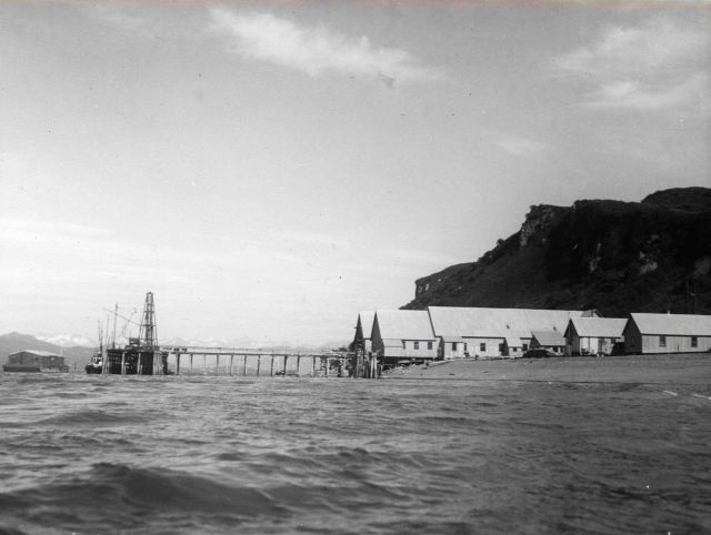 The cannery at Chisik Island Picture