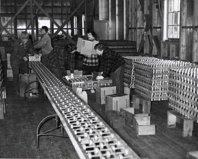 Cans of Pioneer Sea Clams being readied for shipment Picture