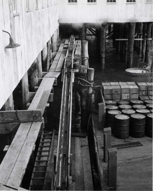 Walkway and conveyor belt at Chisik Island cannery. Picture