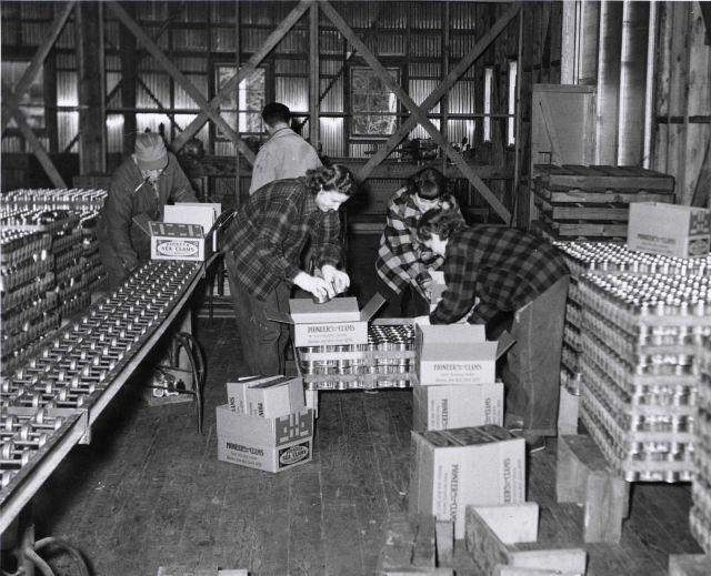 Cans of Pioneer Sea Clams being readied for shipment Picture