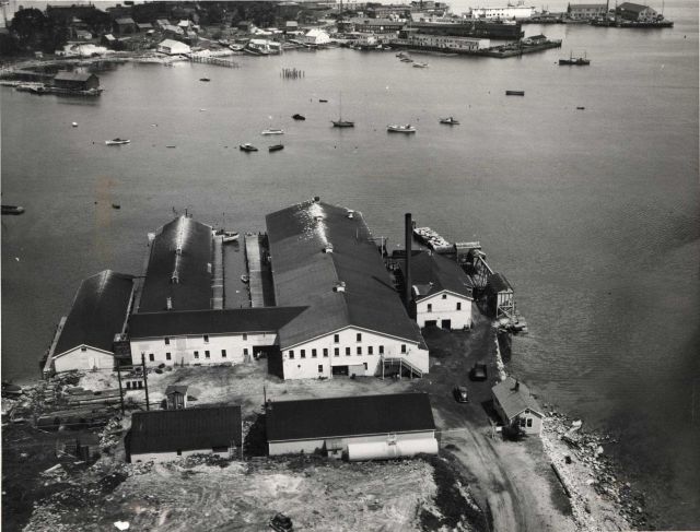 A Passamaquoddy Bay sardine cannery Picture