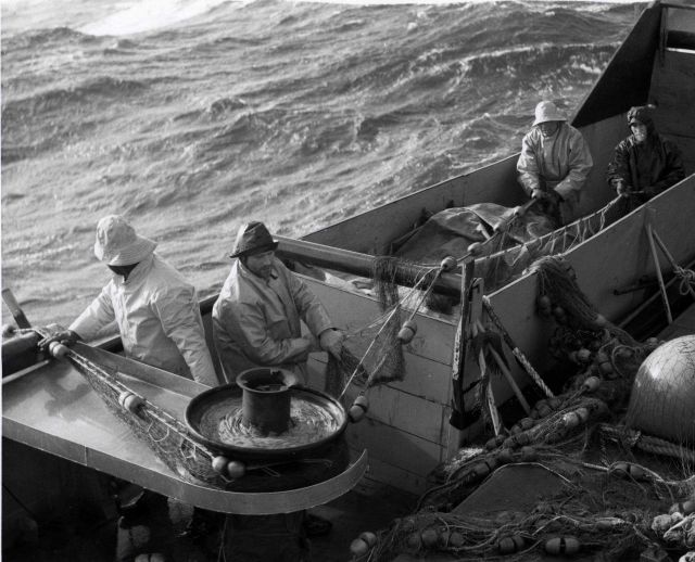 Recovering gear aboard the M/V BERTHA ANN during a winter research cruise Picture
