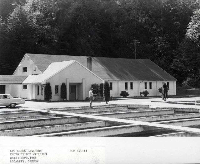 Big Creek Hatchery Picture