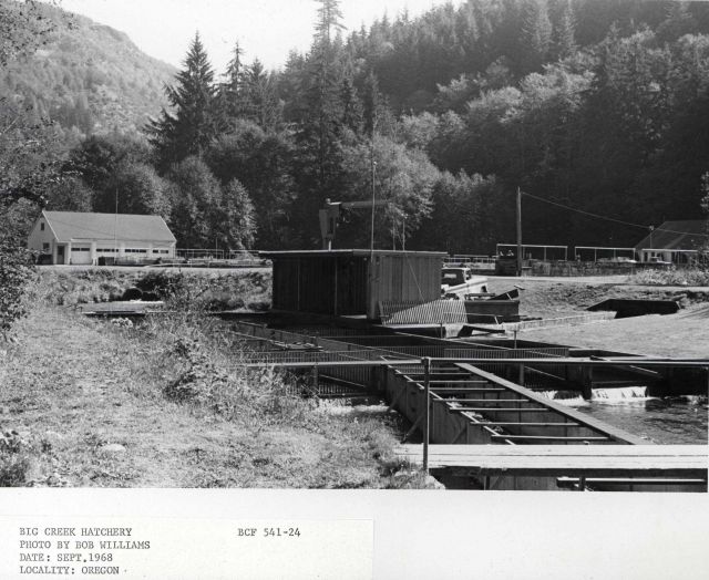 Big Creek Hatchery Picture