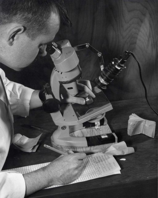 A biologist examining a specimen through a microscope Picture