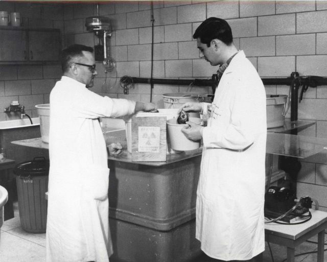 Biologists preparing specimens for X-ray examination Picture