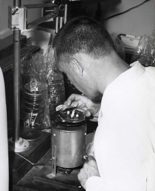Reading agar plate Picture