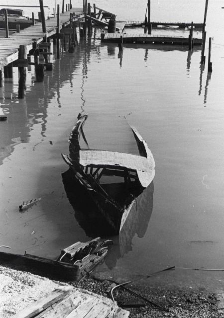 Derelict boat left to rot along the banks of the Potomac River. Picture