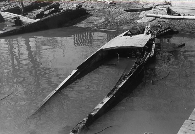 Derelict boat left to rot along the banks of the Potomac River. Picture