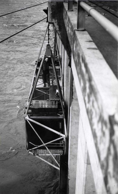 This truss contains three fingerling traps Picture