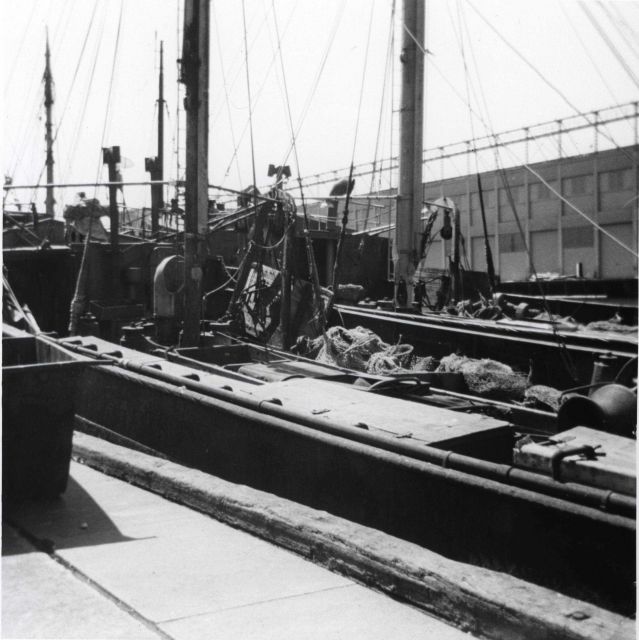 Tied-up fishing draggers at Boston Fish Pier Picture
