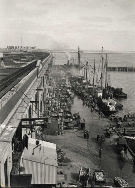 Trawlers unloading at the Boston Fish Pier Picture
