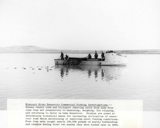 Missouri River Oahe Reservoir commercial fishing investigations Picture