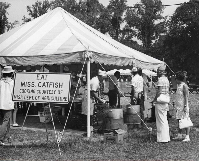 Eat Mississippi Catfish sign Picture