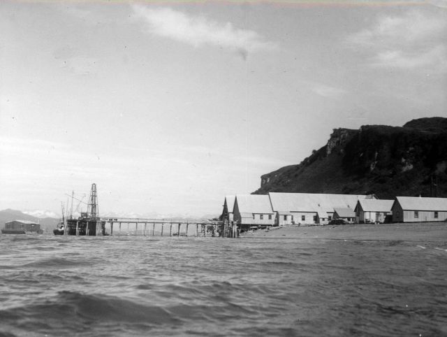 The cannery at Chisik Island Picture