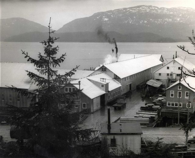 Halperty's Cannery Picture