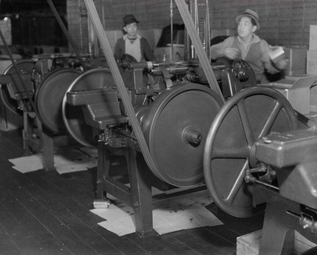 Can making machinery at a cannery at Sand Point Picture