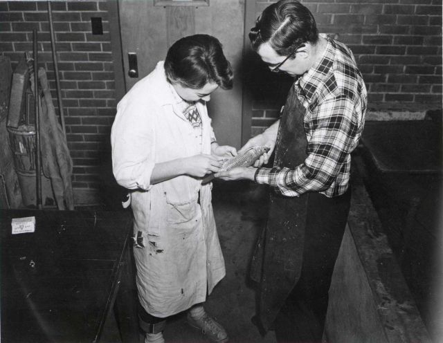 A male carp receives pituitary material which stimulates him in producing additional quantities of milt for use in freezing experiments the following  Picture