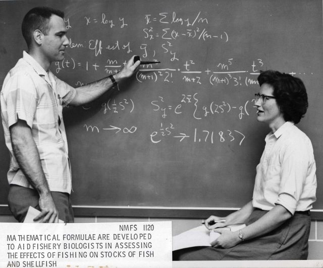 Mathematical formulae are developed to aid fishery biologists in assessing the effects of fishing on stocks of fish and shellfish Picture