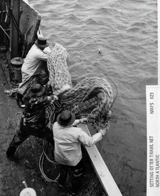 Setting otter trawl net Picture