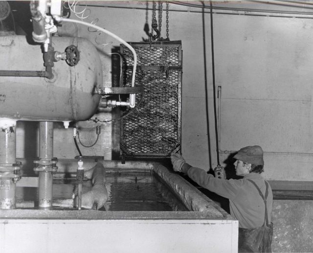 A 150-pound container of king crab about to be lowered in brine freezer at the Point Chehalis Packers. Picture