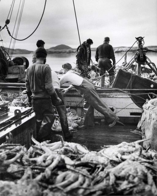 King crab operations in the Kodiak Island area Picture
