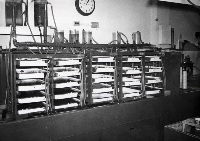 An experimental setup to observe simultaneously various aspects of the behavior of juvenile clams kept at five different temperatures. Picture