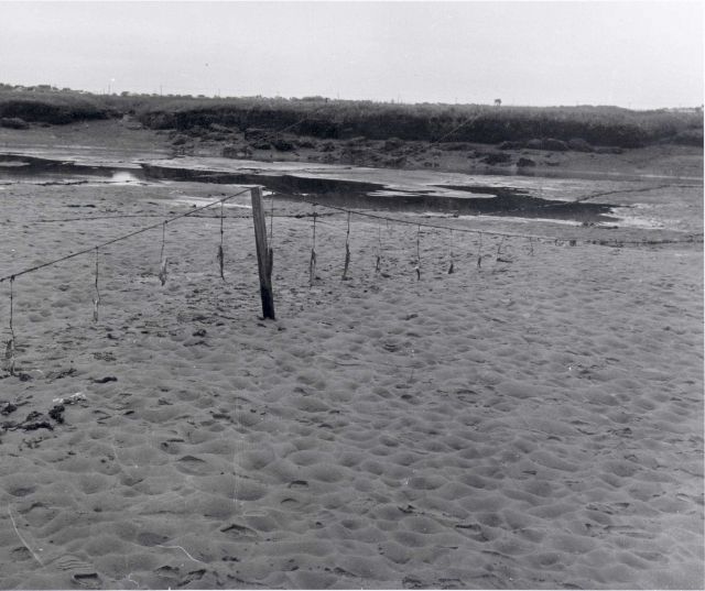 Pesticide barrier to keep out green crabs Picture
