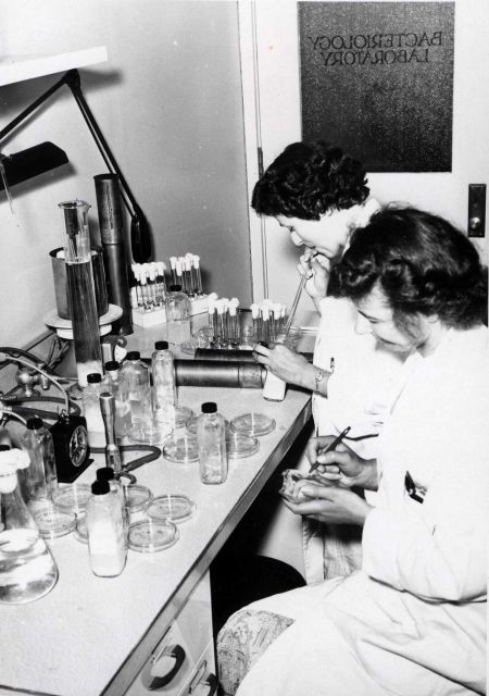 Technicians plate count diluting samples taken from Dungeness crab in a study of the keeping quality of seafood. Picture