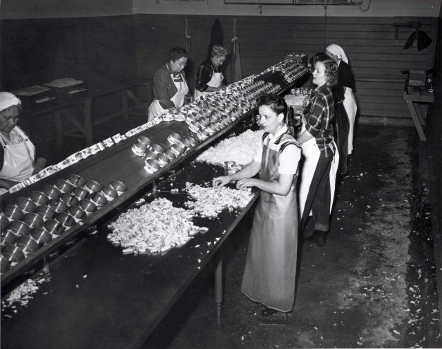 Packing Dungeness crab meat at a Ketchikan cannery Picture
