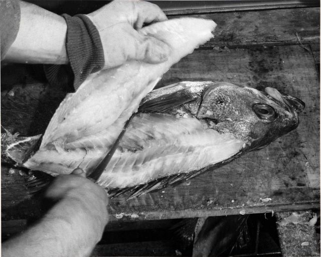 How to fillet rockfish - Final cut - left hand side Picture