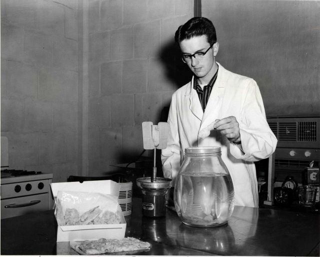 Apparently testing for weight of shrimp vs Picture