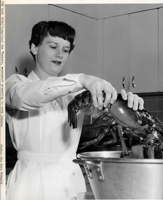 Sue Wieters, economist, preparing to cook lobster. Picture