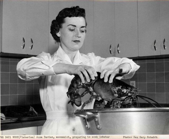 Anna Davies, economist, preparing to cook lobster. Picture
