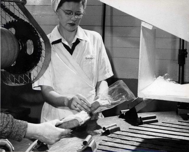 Packaging fillets at Paragon packing Picture