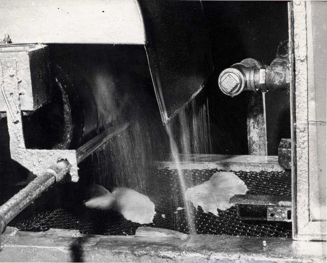 Washing fillets at Paragon packing. Picture