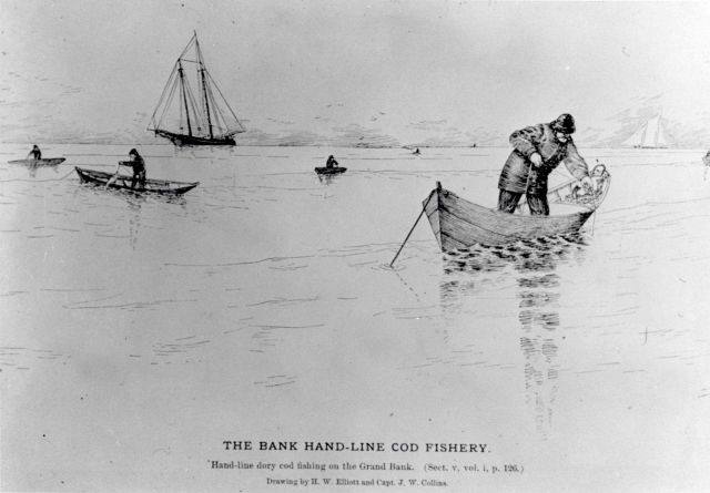 Artwork - The bank hand-line cod fishery. Picture