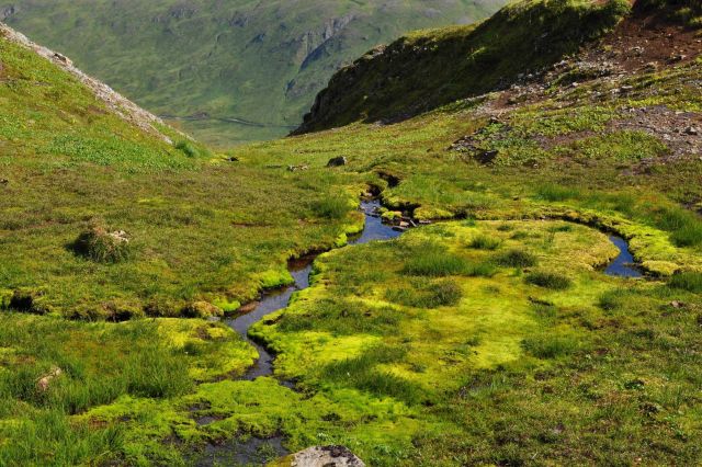 A small stream heading on the ridge above Dutch Harbor Picture