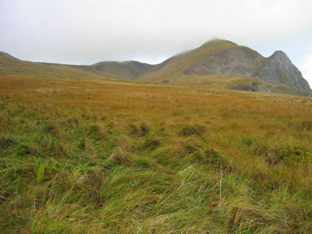 Grass covering top of St Picture