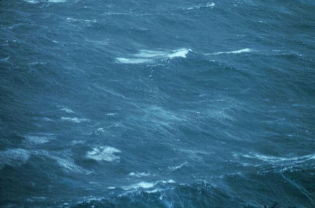 Sea surface as observed from 500 feet in Hurricane Belle. Picture